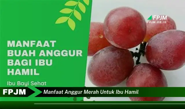 manfaat anggur merah untuk ibu hamil
