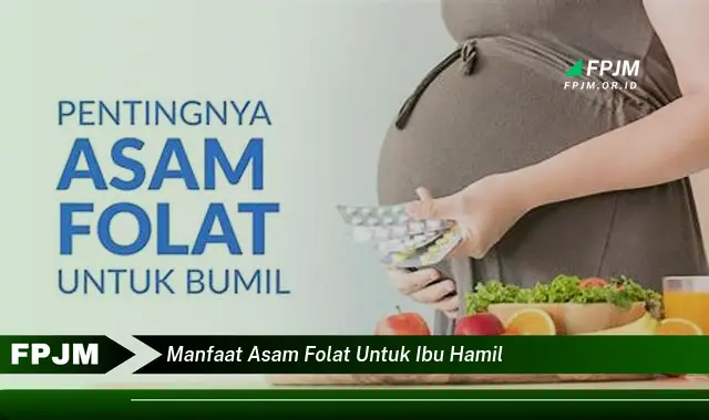 manfaat asam folat untuk ibu hamil