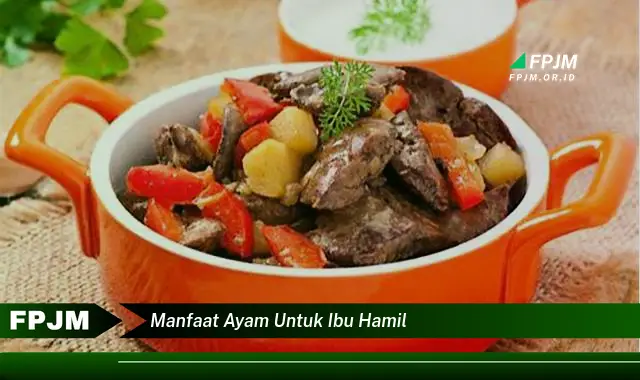 manfaat ayam untuk ibu hamil manfaat ayam untuk ibu hamil