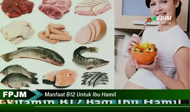 manfaat b12 untuk ibu hamil