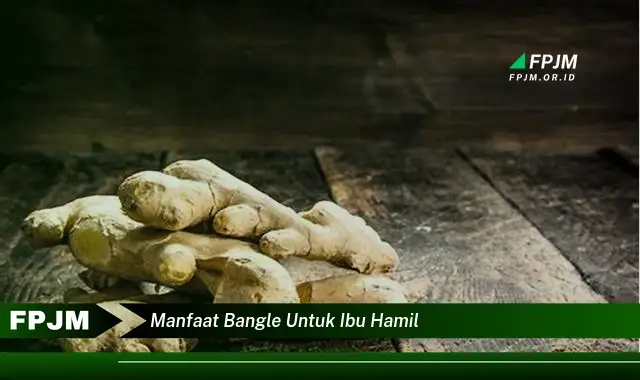 manfaat bangle untuk ibu hamil manfaat bangle untuk ibu hamil