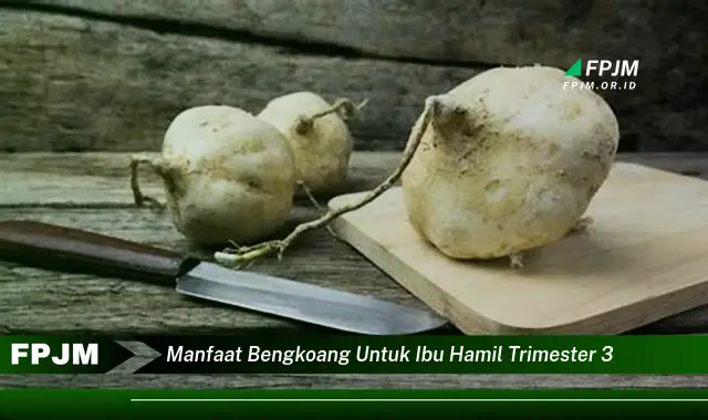 manfaat bengkoang untuk ibu hamil trimester 3