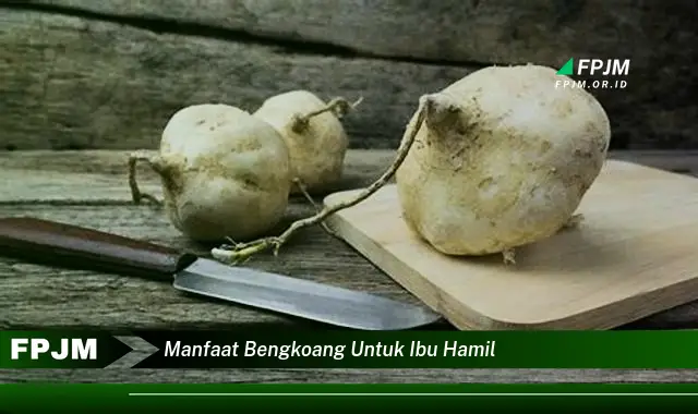 manfaat bengkoang untuk ibu hamil manfaat bengkoang untuk ibu hamil