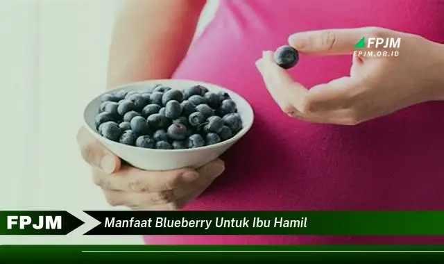 manfaat blueberry untuk ibu hamil manfaat blueberry untuk ibu hamil