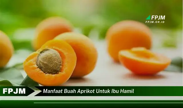 manfaat buah aprikot untuk ibu hamil manfaat buah aprikot untuk ibu hamil