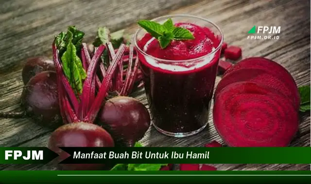 manfaat buah bit untuk ibu hamil