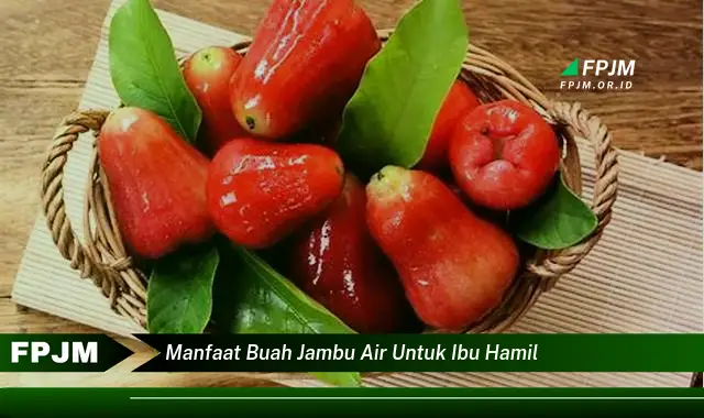 manfaat buah jambu air untuk ibu hamil