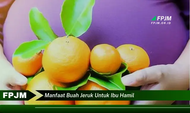 manfaat buah jeruk untuk ibu hamil manfaat buah jeruk untuk ibu hamil