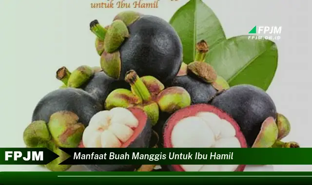 manfaat buah manggis untuk ibu hamil