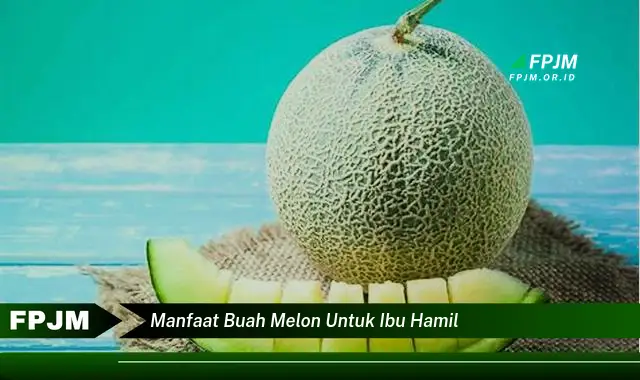 manfaat buah melon untuk ibu hamil manfaat buah melon untuk ibu hamil