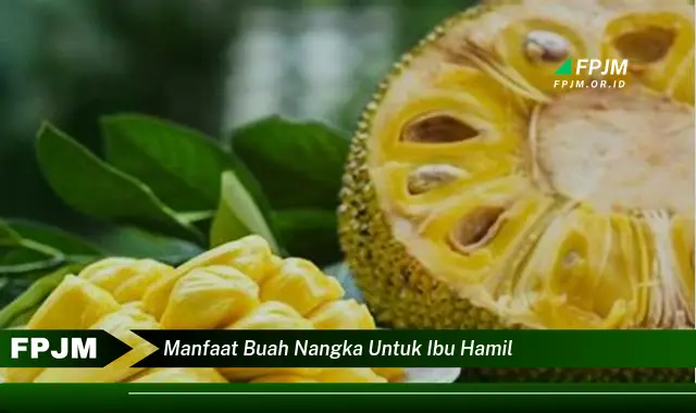 manfaat buah nangka untuk ibu hamil