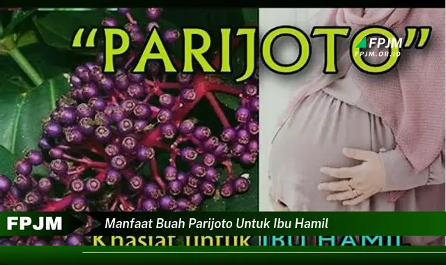 manfaat buah parijoto untuk ibu hamil