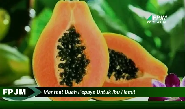 manfaat buah pepaya untuk ibu hamil