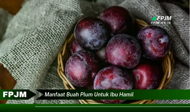 manfaat buah plum untuk ibu hamil manfaat buah plum untuk ibu hamil