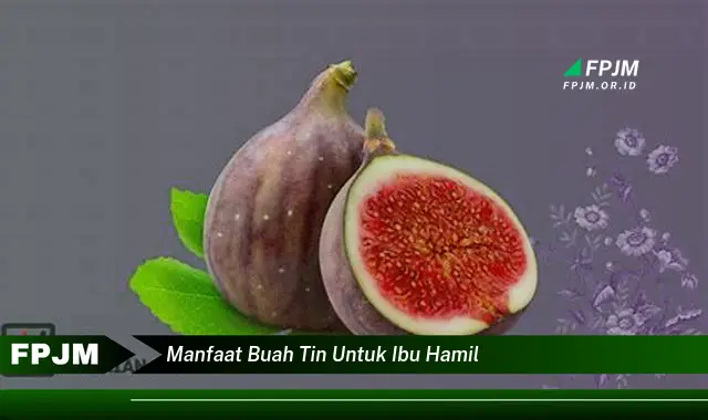 manfaat buah tin untuk ibu hamil