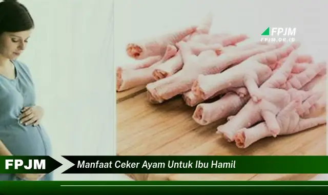 manfaat ceker ayam untuk ibu hamil