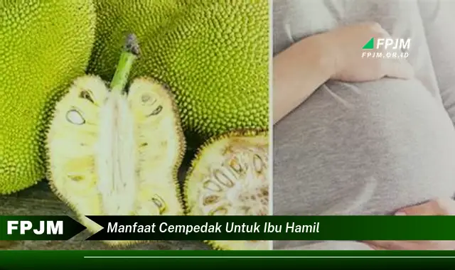 manfaat cempedak untuk ibu hamil manfaat cempedak untuk ibu hamil