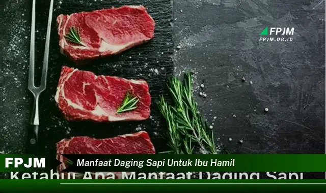 manfaat daging sapi untuk ibu hamil manfaat daging sapi untuk ibu hamil