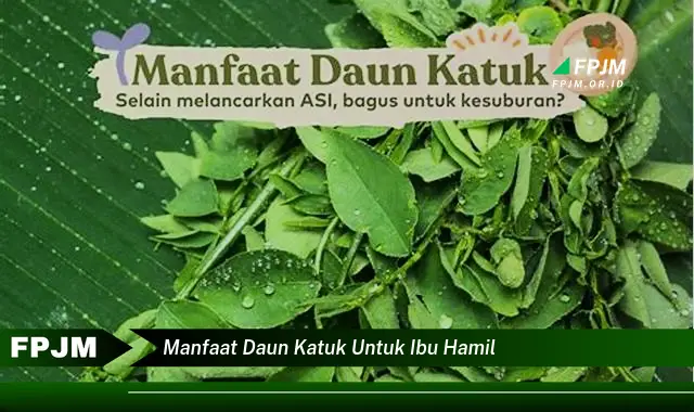 manfaat daun katuk untuk ibu hamil