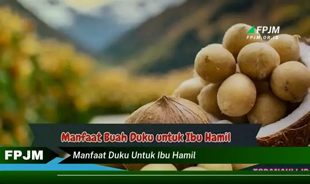 manfaat duku untuk ibu hamil manfaat duku untuk ibu hamil