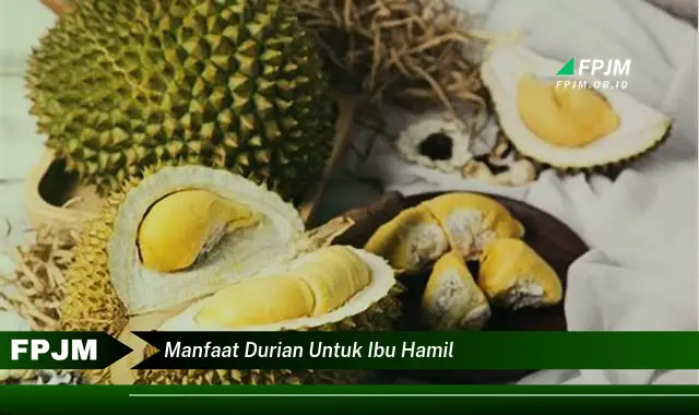 manfaat durian untuk ibu hamil manfaat durian untuk ibu hamil