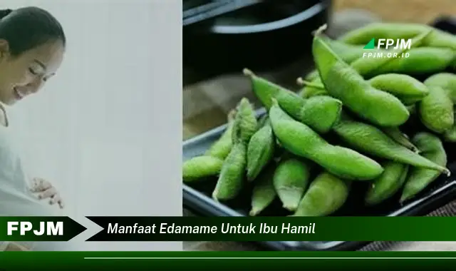 manfaat edamame untuk ibu hamil manfaat edamame untuk ibu hamil