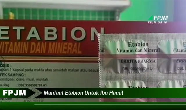 manfaat etabion untuk ibu hamil