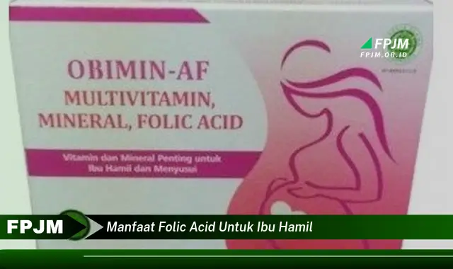 manfaat folic acid untuk ibu hamil manfaat folic acid untuk ibu hamil