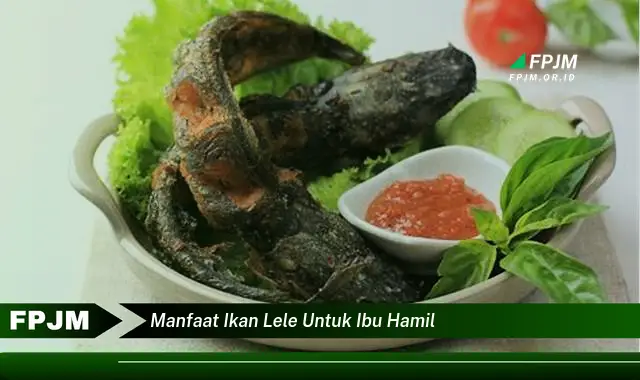 manfaat ikan lele untuk ibu hamil