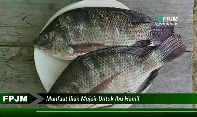 manfaat ikan mujair untuk ibu hamil