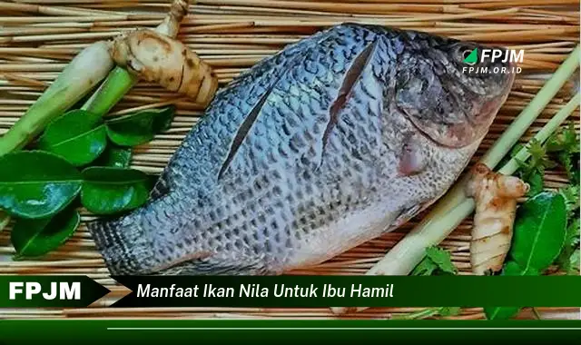 manfaat ikan nila untuk ibu hamil