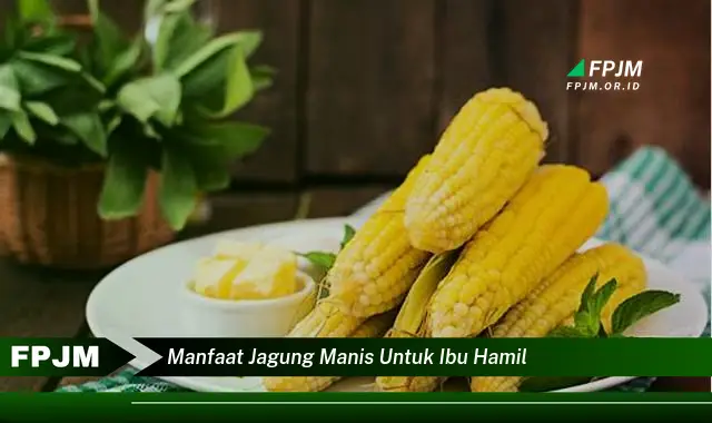 manfaat jagung manis untuk ibu hamil