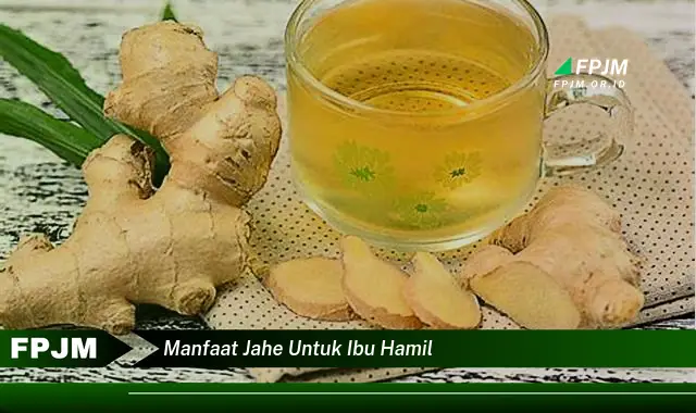manfaat jahe untuk ibu hamil manfaat jahe untuk ibu hamil