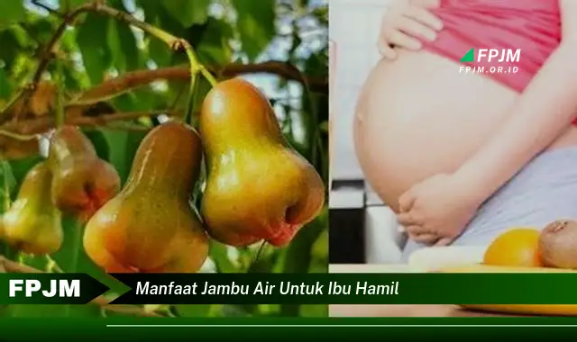 manfaat jambu air untuk ibu hamil