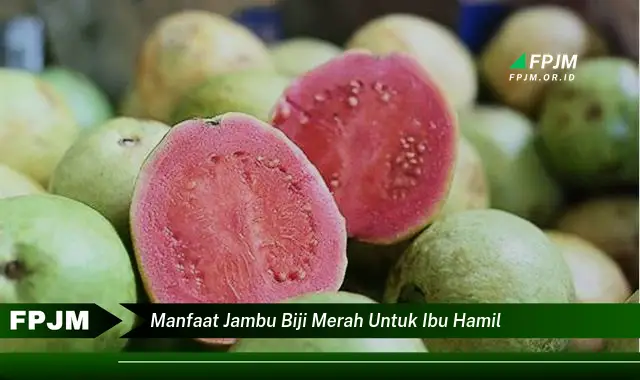 manfaat jambu biji merah untuk ibu hamil