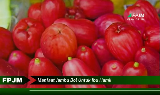 manfaat jambu bol untuk ibu hamil manfaat jambu bol untuk ibu hamil