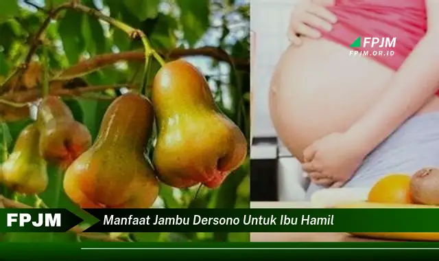 manfaat jambu dersono untuk ibu hamil manfaat jambu dersono untuk ibu hamil