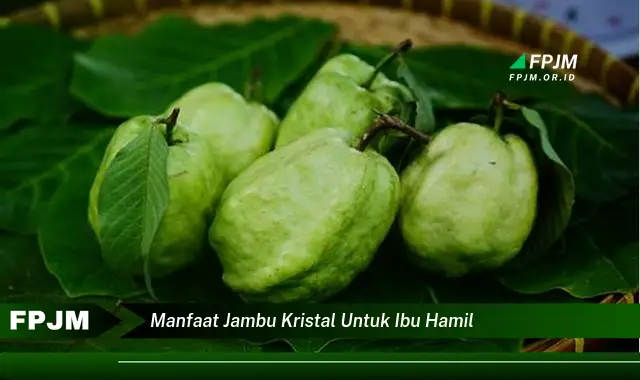 manfaat jambu kristal untuk ibu hamil