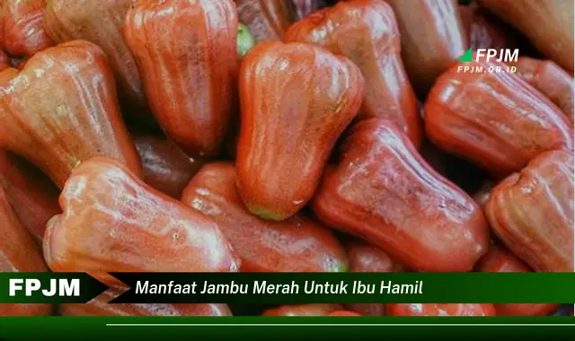 manfaat jambu merah untuk ibu hamil