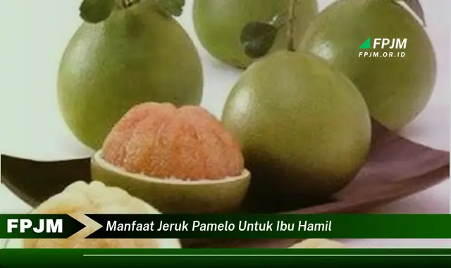 manfaat jeruk pamelo untuk ibu hamil manfaat jeruk pamelo untuk ibu hamil