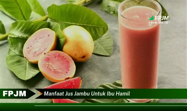 manfaat jus jambu untuk ibu hamil