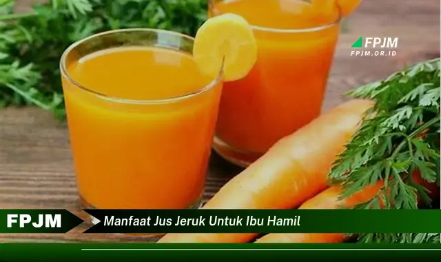 manfaat jus jeruk untuk ibu hamil