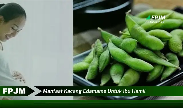 manfaat kacang edamame untuk ibu hamil