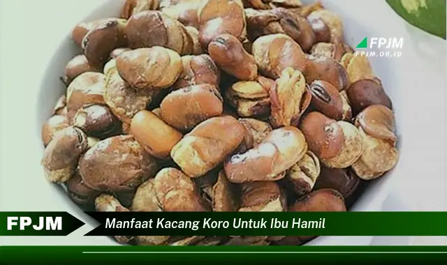 manfaat kacang koro untuk ibu hamil manfaat kacang koro untuk ibu hamil