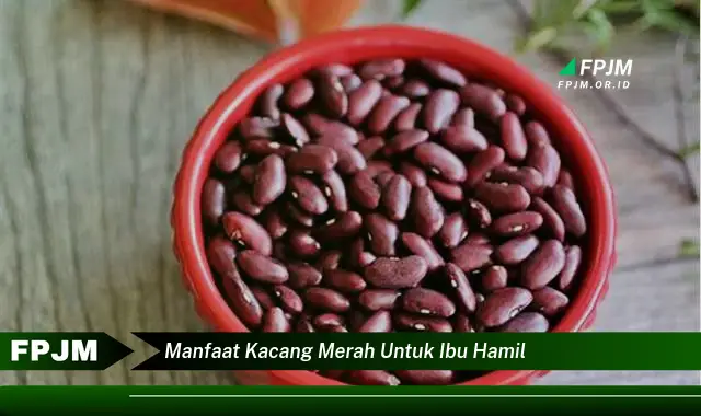 manfaat kacang merah untuk ibu hamil