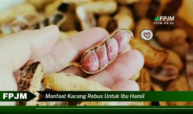 manfaat kacang rebus untuk ibu hamil