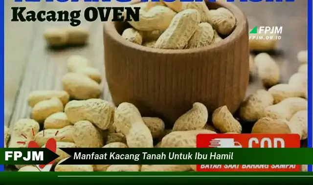manfaat kacang tanah untuk ibu hamil manfaat kacang tanah untuk ibu hamil