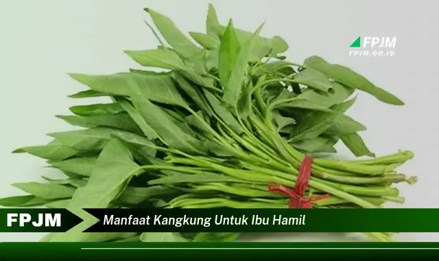 manfaat kangkung untuk ibu hamil manfaat kangkung untuk ibu hamil