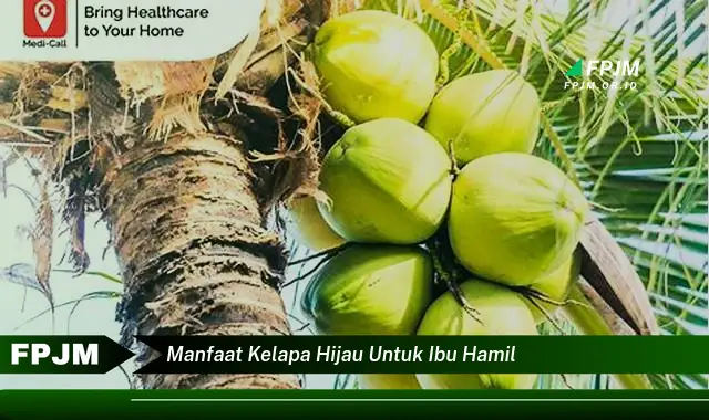 manfaat kelapa hijau untuk ibu hamil