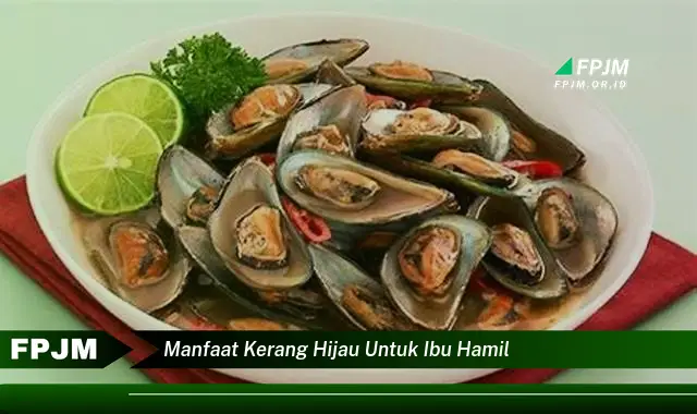 manfaat kerang hijau untuk ibu hamil